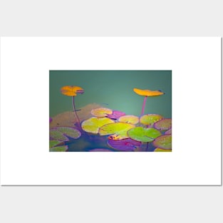 lotus floating leaves Posters and Art